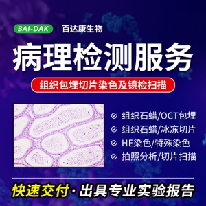 病理包埋切片染色