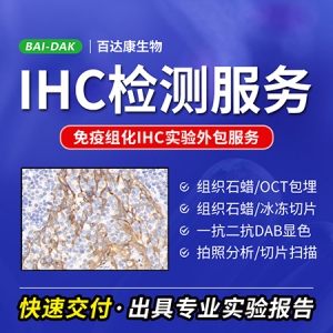 IHC免疫组化