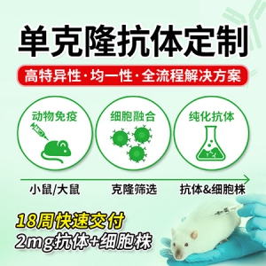 单克隆抗体定制服务