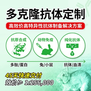 多克隆抗体定制服务